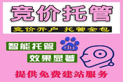 百度SEO推广公司案例分享：实战经验谈